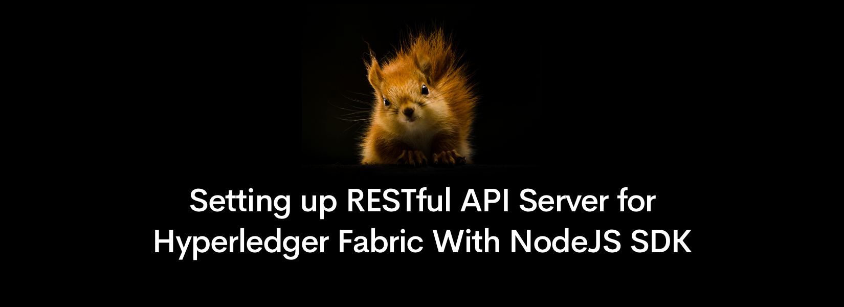 Setting up RESTful API Server for Hyperledger Fabric With NodeJS SDK