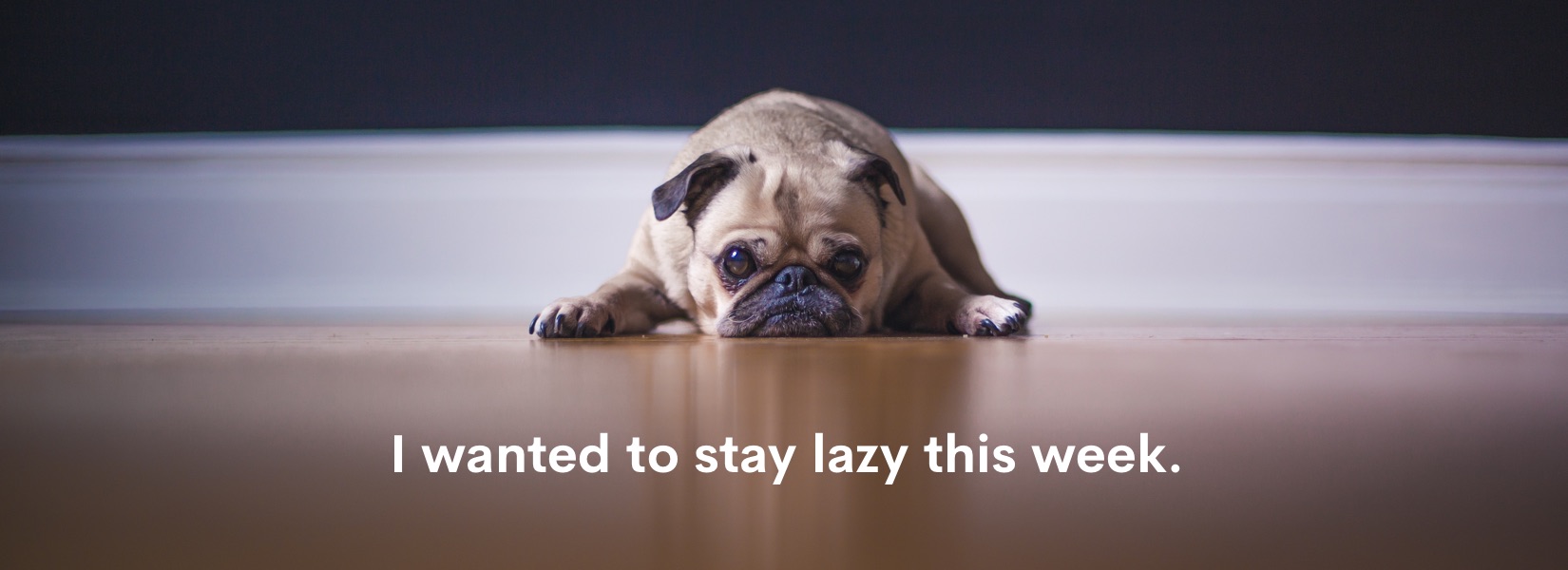 I wanted to stay lazy this week.