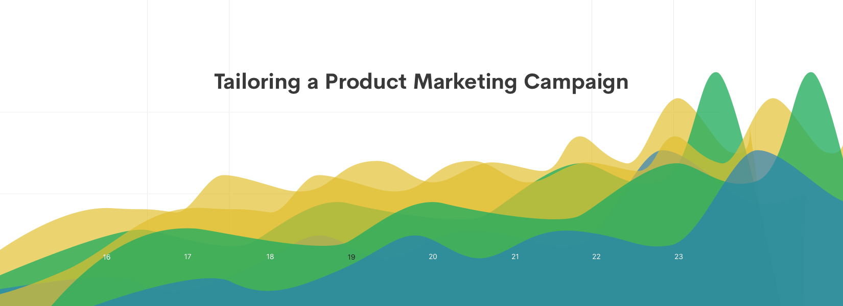 Tailoring a Product Marketing Campaign