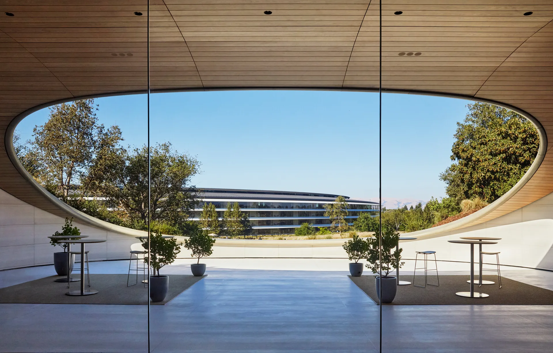 Courtyard seating under curved wood and glass, looking out to trees.