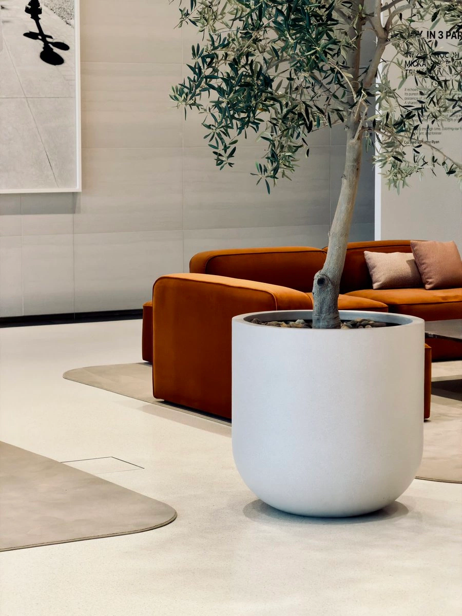 Lobby lounge — olive tree in a white planter, rust sofa, calm stone.